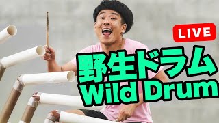 Wild Drum Live