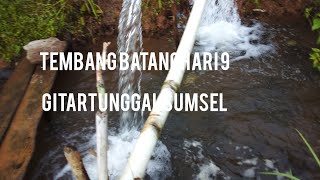 gitar tunggal sumsel batangharisembilan.\