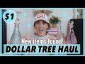 DOLLAR TREE HAUL *NEW $1.00 GORGEOUS DÉCOR* SUPPLIES I’M SENDING HER OFF WITH