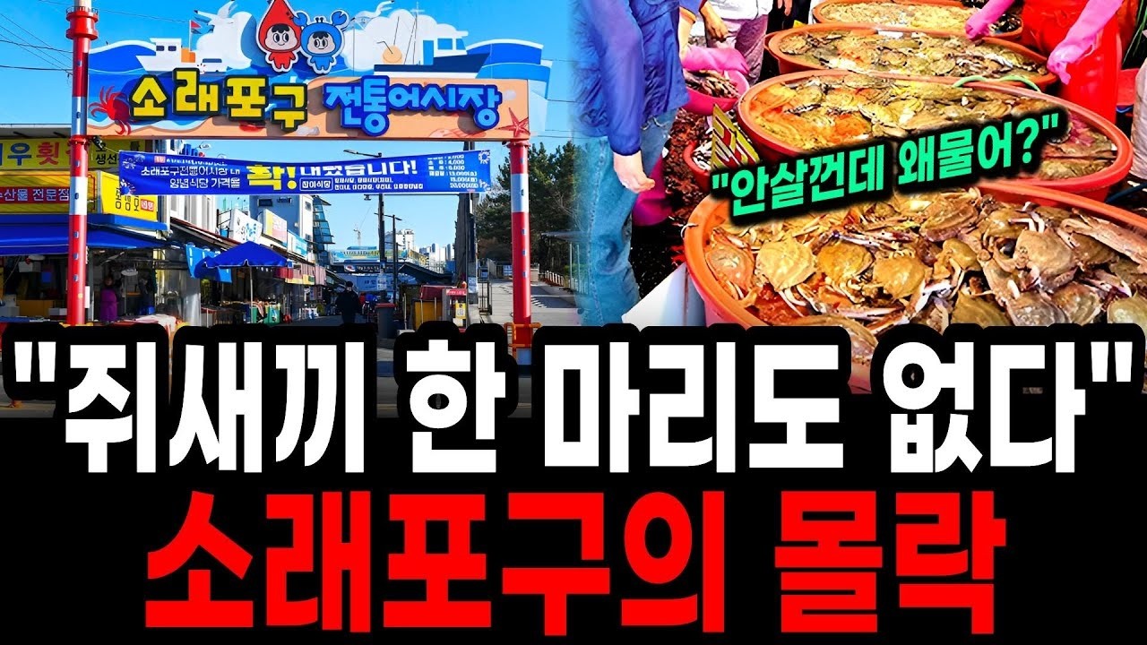 '저울에 물만 1kg ' 150건 무더기 적발    바가지 요금의 최후, 소래포구의 몰락