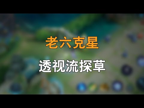 在王者荣耀肝了一天，我学会了透视探草
