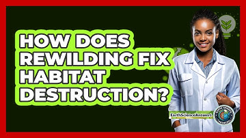 How Does Rewilding Fix Habitat Destruction? - Earth Science Answers