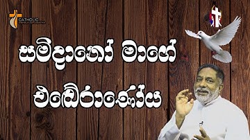 සමිදාණෝ මාගේ ඒ‌ඪෙ‌රාණෝය19/10/2025  Thought for the day Sinhala   දවසේ සිතුවිල්ල