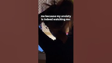 me every time i study: