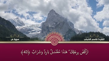 سورة ص للقارئ قاسم شبلي