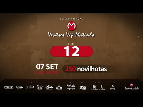 LOTE 12