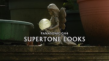 Panasonic GH4 Supertone Looks (4K)