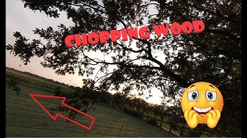 DJI FPV power loop practicing (almost crash)