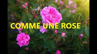 Video thumbnail of "COMME UNE ROSE"