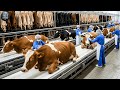 Inside Modern Cow Leather Factory: From Raw Cow Hide to High-End Fashion Goods (Full Process)