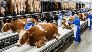 Download Lagu Inside Modern Cow Leather Factory: From Raw Cow Hide to High-End Fashion Goods (Full Process) MP3