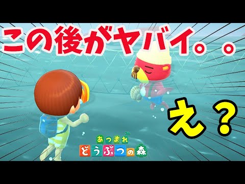 【あつ森】え？え？え？初回でいきなりラコスケからホタテあげるのを断ると・・・【あつまれどうぶつの森】【素潜り/無料アップデート/アプデ】