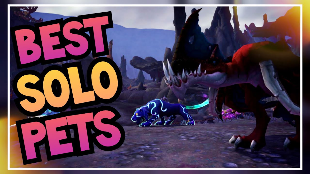 BM Hunter SOLO GUIDE ep. 1 - Pets | Best Exotic Pets for ...