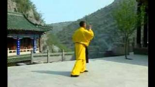 Shaolin 6 Harmony (Liu He) Gong - 少林六合功