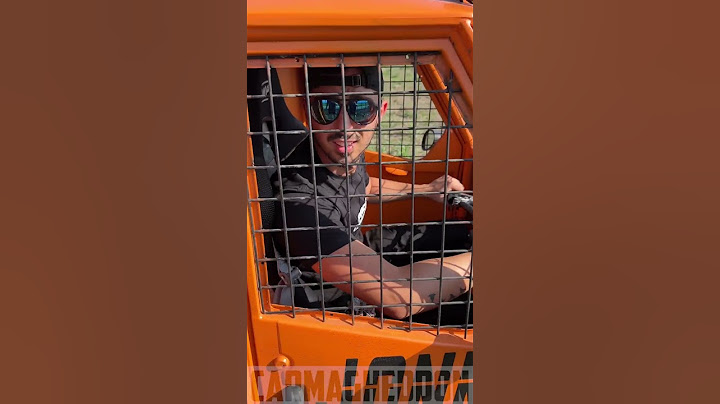 L'APE PIU' ILLEGALE DI SEMPRE.