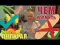 ЧЕМ КОРМИТЬ ПОПУГАЯ | КАКОЙ ЕДОЙ МОЖНО ПОДЕЛИТЬСЯ  | КАК ПРИУЧИТЬ ПОПУГАЯ ЕСТЬ ОВОЩИ И ФРУКТЫ