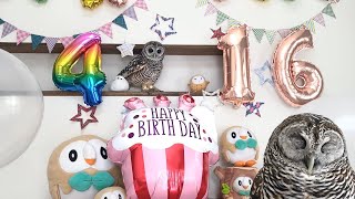 フクロウのお誕生日