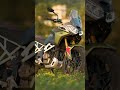 TVS RTX 300: quanto costano e per chi sono le due versioni disponibili