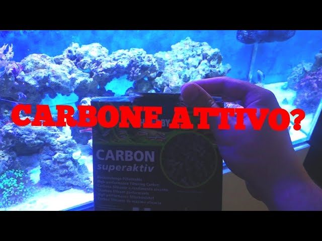 CARBONE ATTIVO SI O NO? Quando utilizzarlo in Acquario Marino 