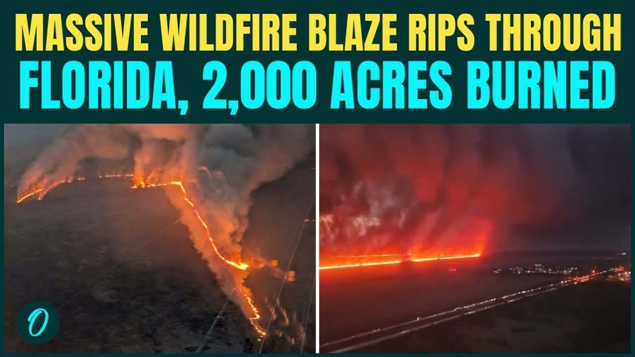 U.S. WILDFIRE BREAKING: Massive Blaze BURNS 2,000 Hectares In Broward ...