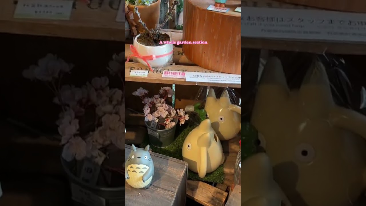 if you're a Studio Ghibli fan, you HAVE to visit this store!! 🐰🌱