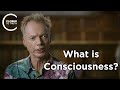 Andy clark  what is consciousness