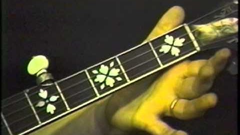 Excerpt from "Dueling Banjos" from "Jam Session Standards" DVD from the Murphy Method