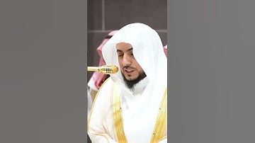 سورة البينة من صلاة العشاء مقتطفات