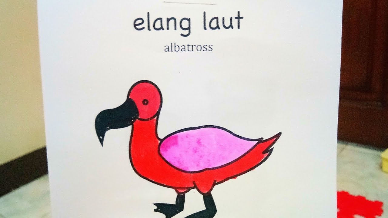 ALBATROSS Drawing, Coloring and Painting for Kids and Toddler | Easy drawing coloring 🎨