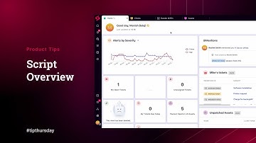 #TipThursday - ScriptOverview