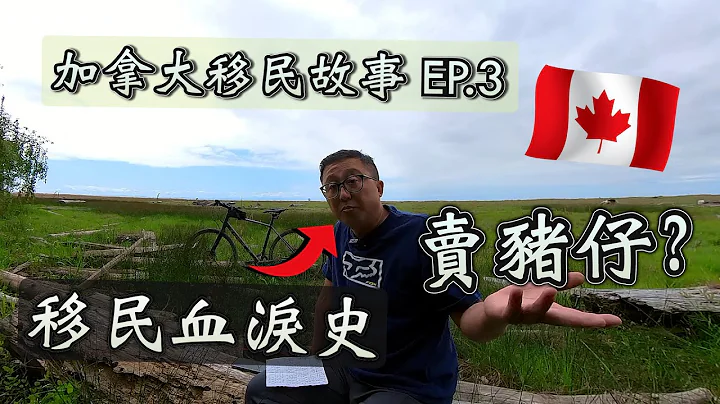 枫流财子第91集｜我的加拿大移民故事 Part 3 - 天天要闻