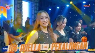 All Artists OM Adella Love and Tears in Pekalongan