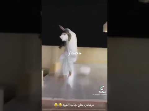 انت كلم مسمار