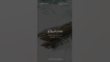والله خلق كل دابة من ماء - #صلاح_البدير - #سورة_النور #حالة_واتس