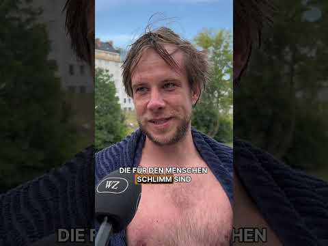 Schwimmen im Donaukanal