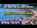 DUCK FARMING BIHAR , बतख पालन में कितना फायदा ? इसके EGG, MEAT तथा Farming Business की पूरी जानकारी