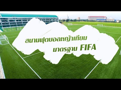 สนามฟุตบอลมาตรฐาน FIFA ขนาด 11 คน