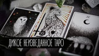 Дикое Неизвестное Таро (The Wild Unknown Tarot). Открытый урок.