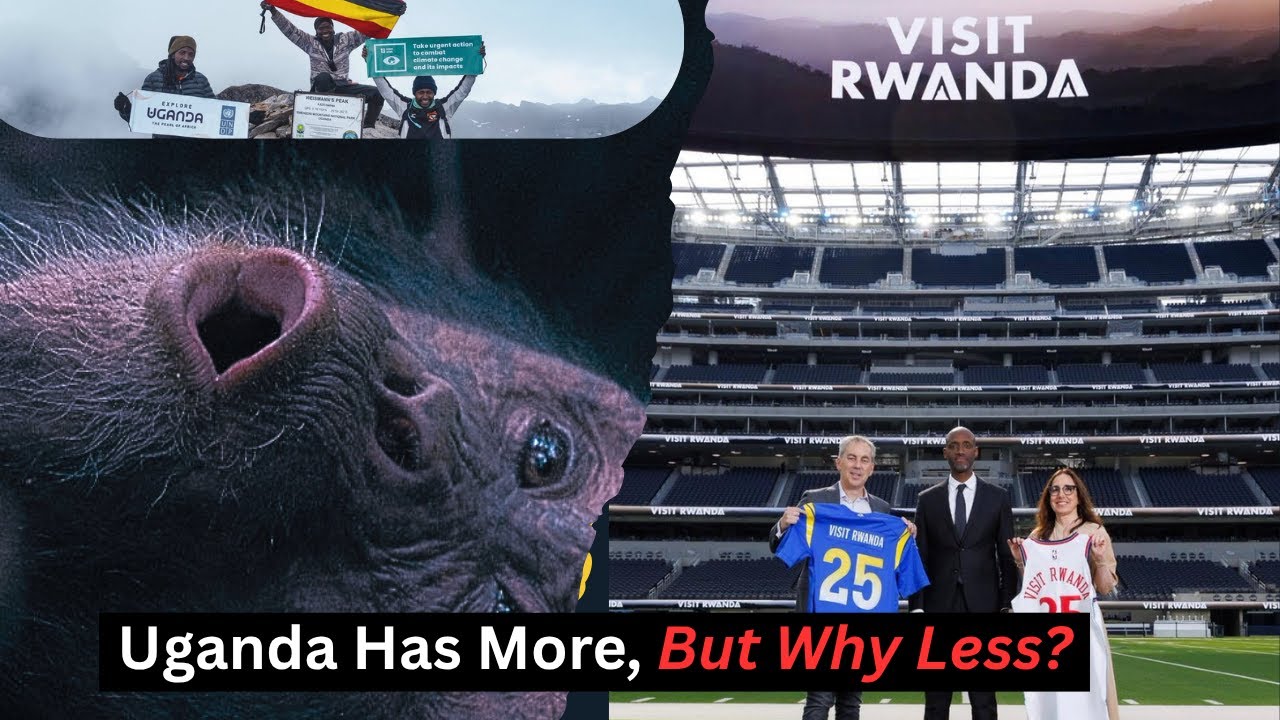 Rwanda vs Uganda: The Tourism Race Redefining East Africa’s Future