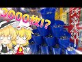 【メダルゲーム】マリくるに3000枚バカ入れ!?