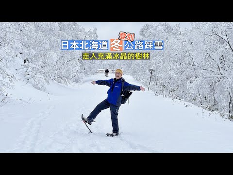 日本北海道冬 在厚雪所覆蓋的公路上行走，樹林中的冰晶世界難以言喻的夢幻場景