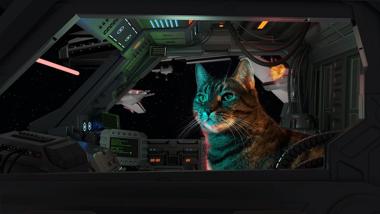 Watch The Cats Of Ulthar Prime Video