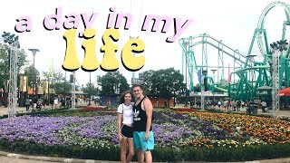 A Summer Day In My Life