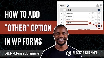 How to Add an "Other" Option for Checkboxes, Multiple Choice or Dropdown fields in WPForms