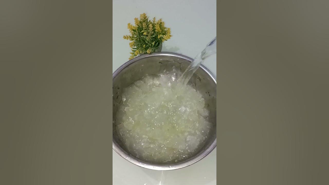 Cara mengolah tanaman Lidah Buaya menjadi minuman segar #lidahbuaya