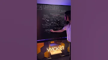 Инфузория туфелька #умскул_биология #жаннаказанская #умскул #биология #егэ2023