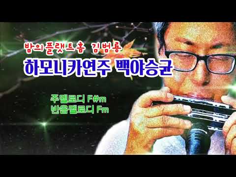 밤의플랫트홈 김범룡 #주호하모니시스트 #백주호 #주호하모니카 #하모니카연주