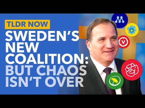 Sweden Gets a New Government... but the Political Crisis isn't Over Yet - TLDR News