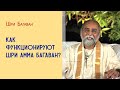 Как функционируют Шри Амма Багаван? How does Sri Amma and Sri Bhagavan function?