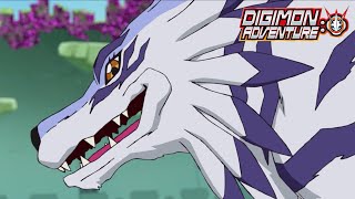Greymon and Garurumon Combo | Digimon Adventure: